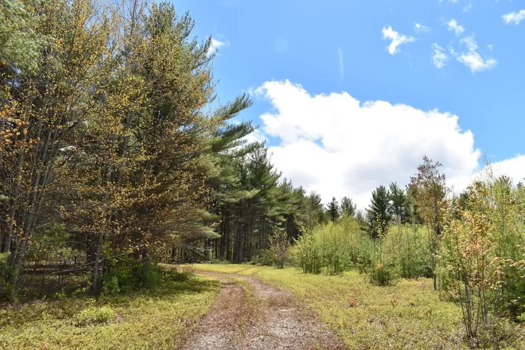 299 Scribner Hill Road Otisfield ME 04270