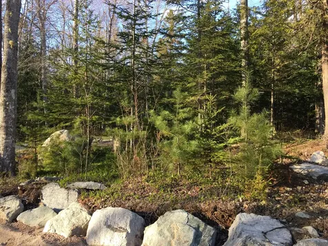 2 Union Bay Pines Drive Trenton ME 04605