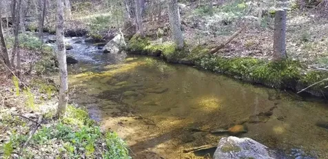 Tbd Weld Road Route 156 Perkins Twp ME 04294