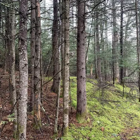 0 Beechwood Street Thomaston ME 04861