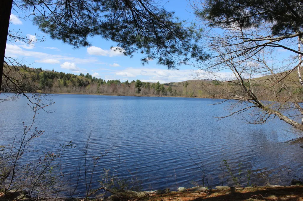 57 Forest Lane Litchfield ME 04350