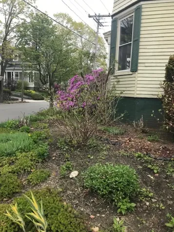 131 Beacon Street Portland ME 04103