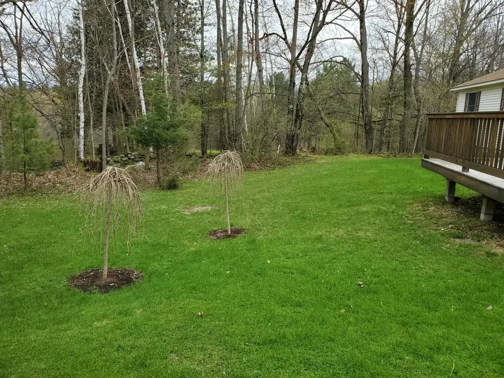 279 Perham Street Farmington ME 04938