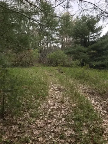 177 Clay Hill Road York ME 03902