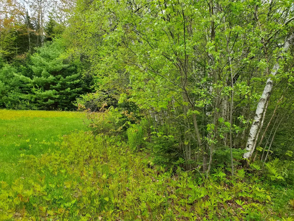 951 Thurston Hill Road Madison ME 04950