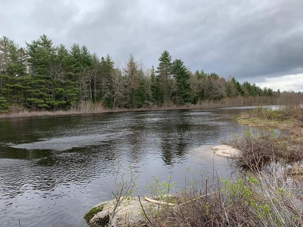 217 Tourtelotte Ridge Road Mariaville ME 04605
