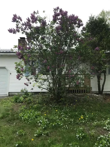 406 Pearl Street Bangor ME 04401
