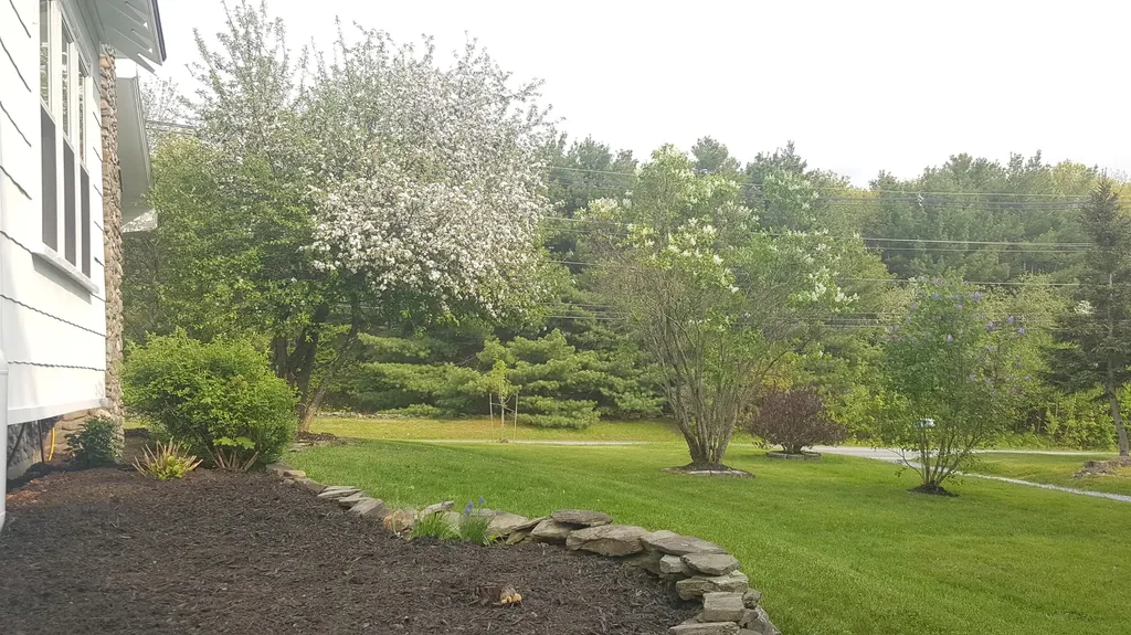 409 Main Street Orono ME 04473