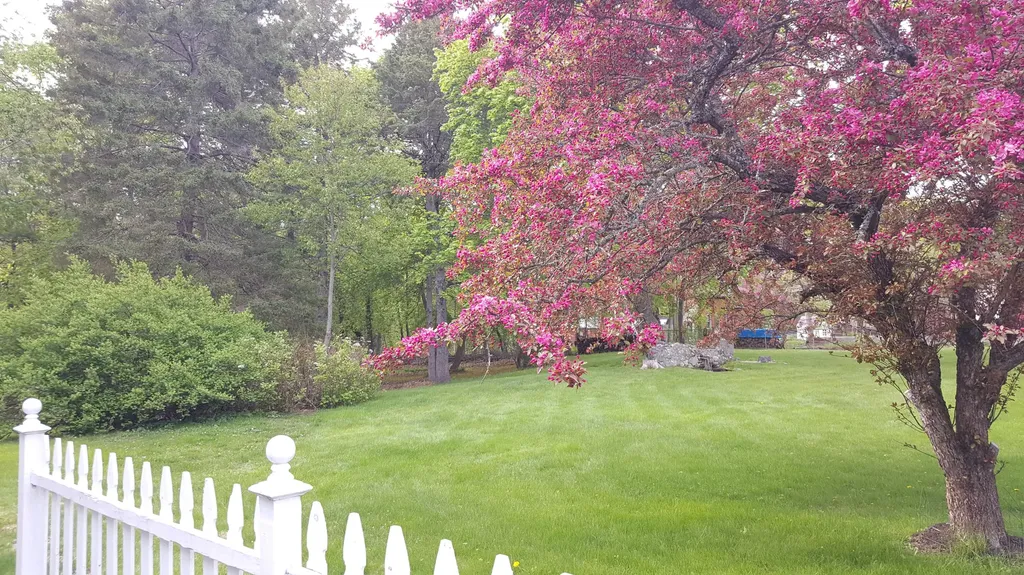 409 Main Street Orono ME 04473