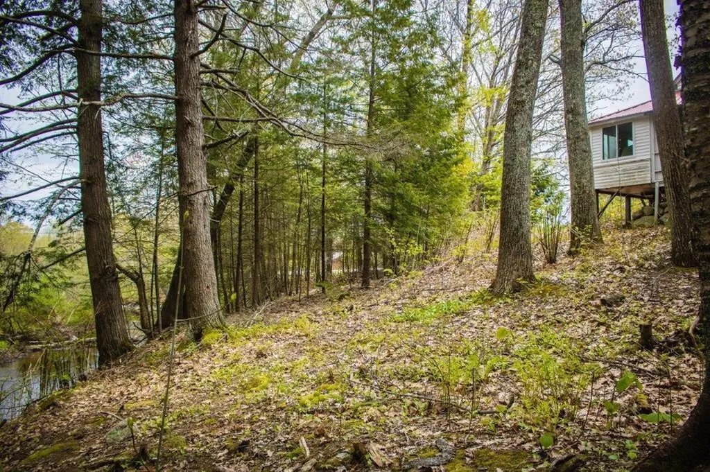 339 State Route 121 Otisfield ME 04270