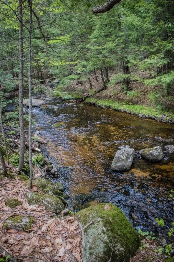 339 State Route 121 Otisfield ME 04270