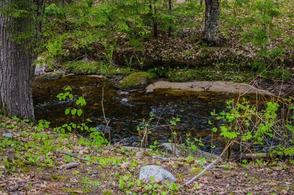 339 State Route 121 Otisfield ME 04270