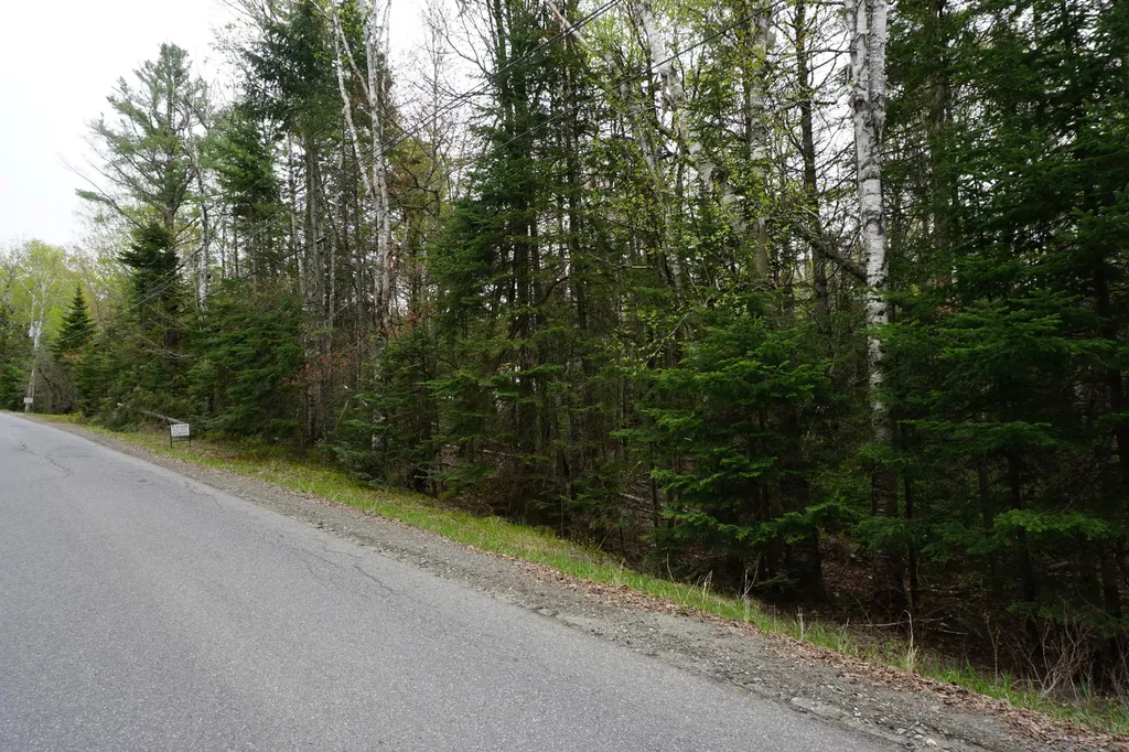 81 Scammon Road Greenville ME 04441