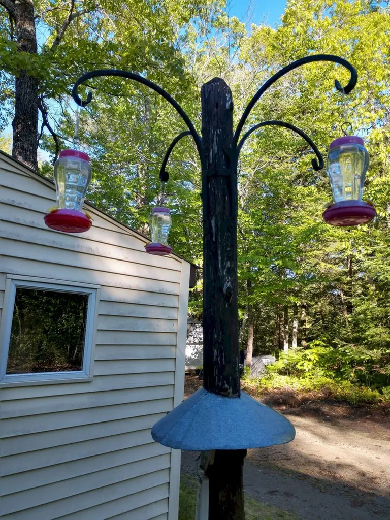937 Hartland Road Canaan ME 04924