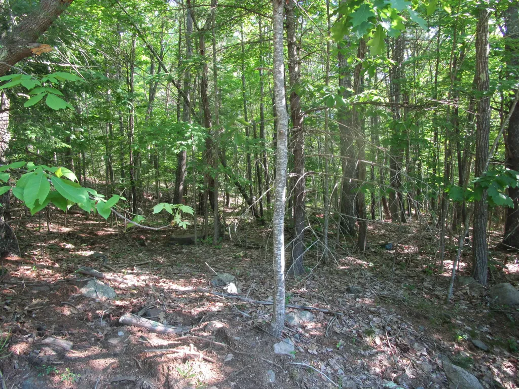 1 Josiah Norton Road York ME 03902