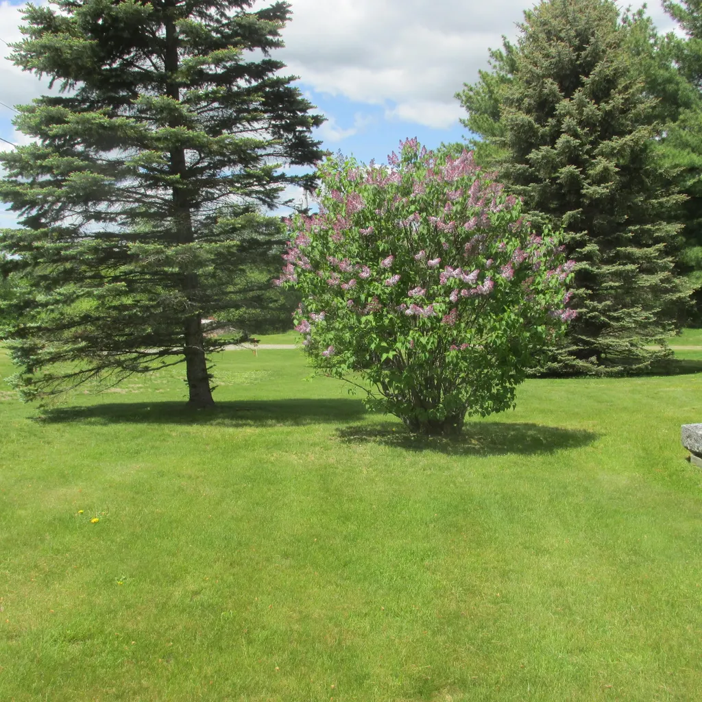 19 Ring Woods Orrington ME 04474
