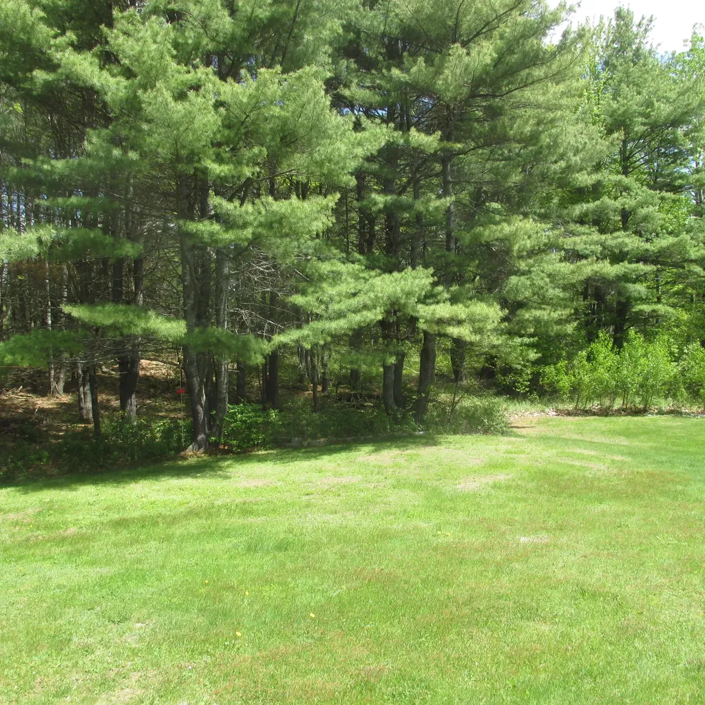 19 Ring Woods Orrington ME 04474