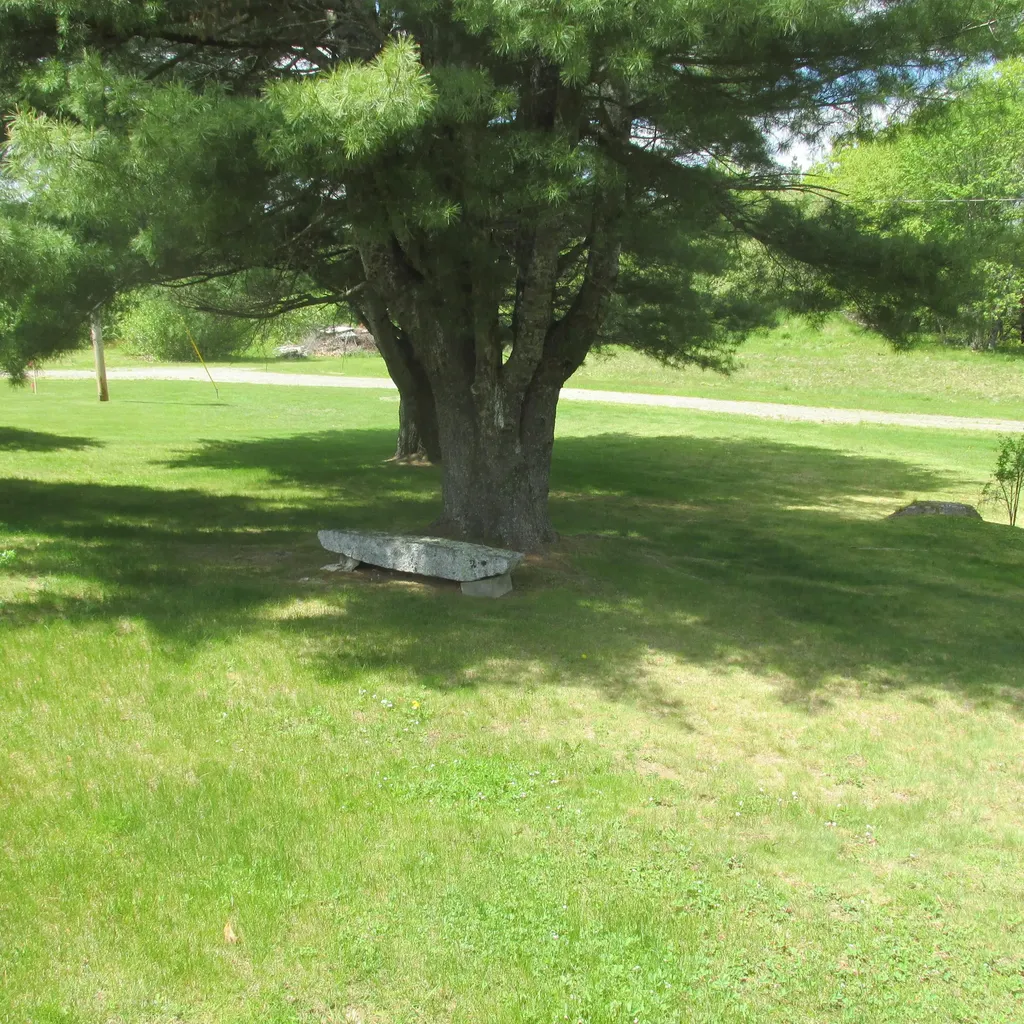 19 Ring Woods Orrington ME 04474