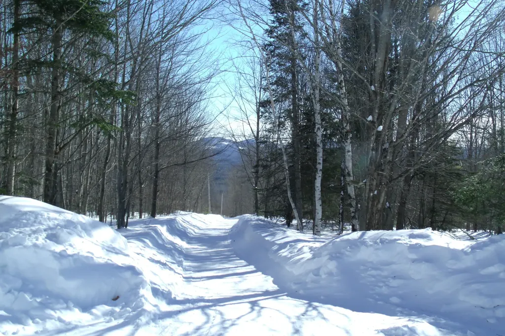 Tbd Cook Hill Road Freeman Twp ME 04983