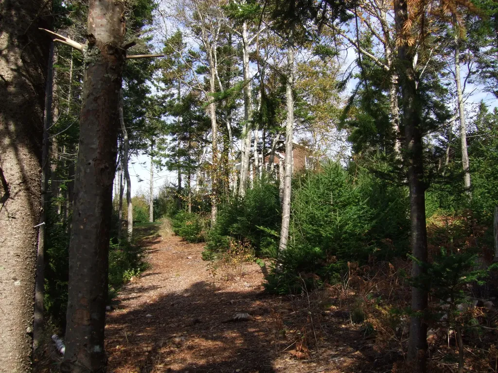 7 Sunset Drive Eastport ME 04631