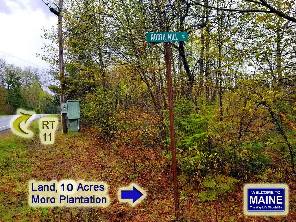 Lot 21a S Mill Road Moro Plt ME 04780