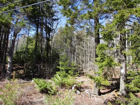 000 Seal Harbor Road Saint George ME 04859