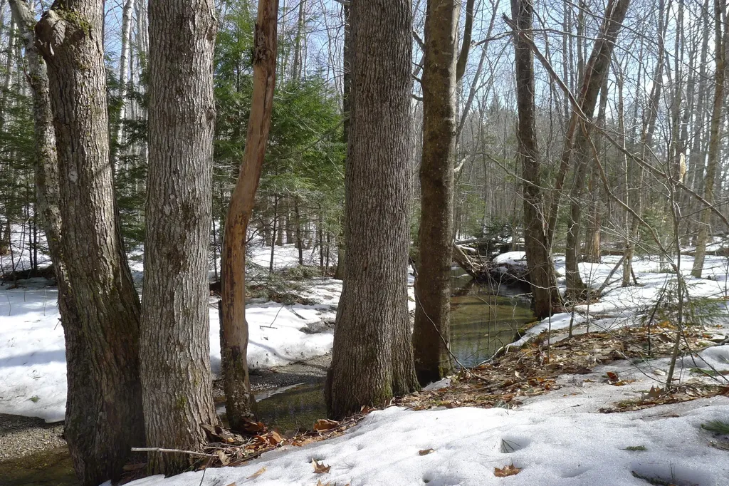 0 Tamarack Trail Camden ME 04843