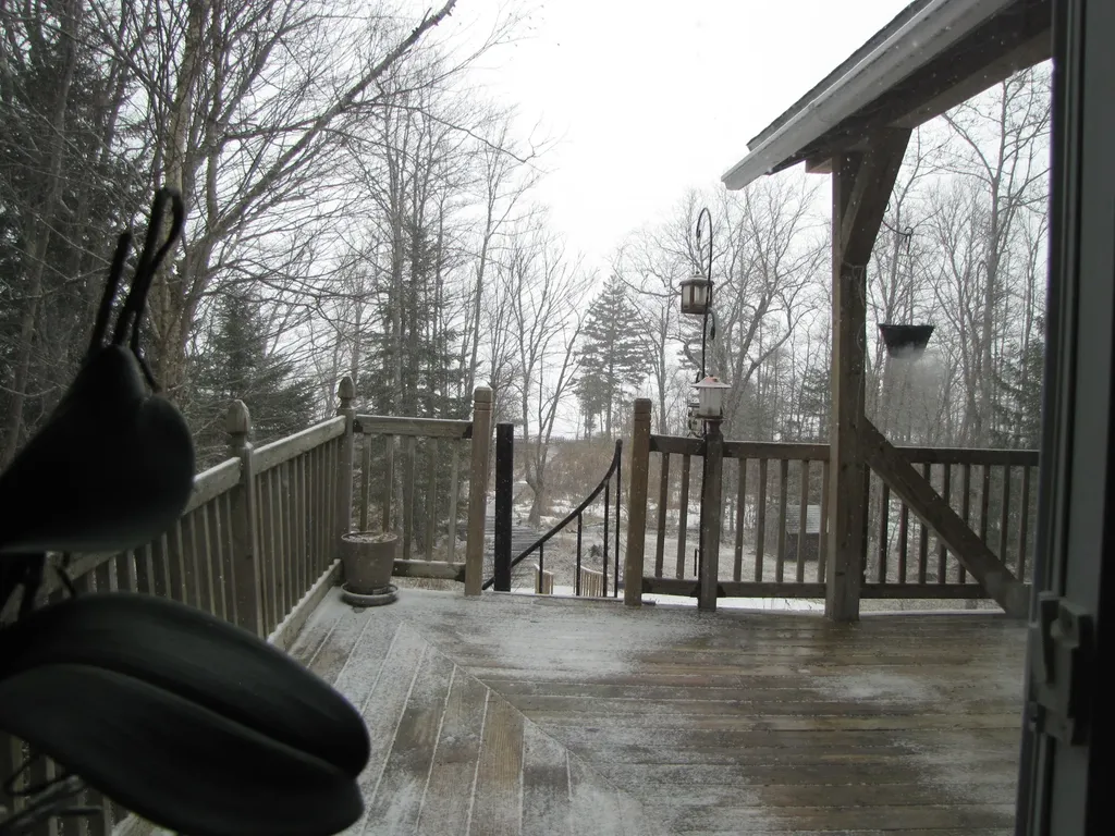 489 Hadley Lake Road East Machias ME 04630