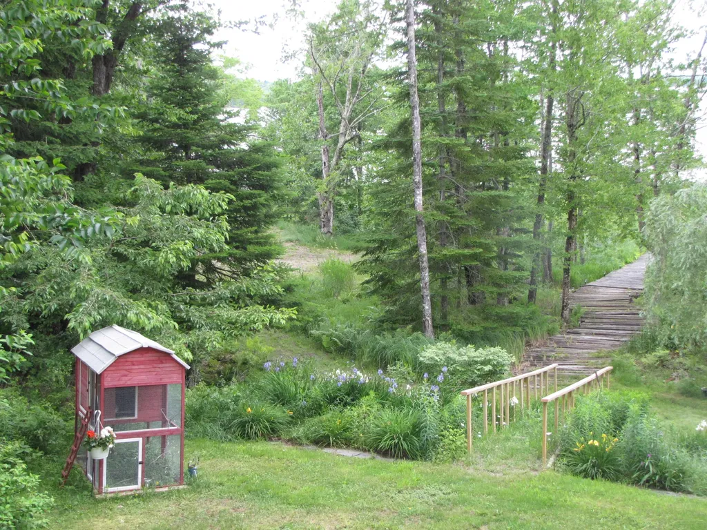 489 Hadley Lake Road East Machias ME 04630