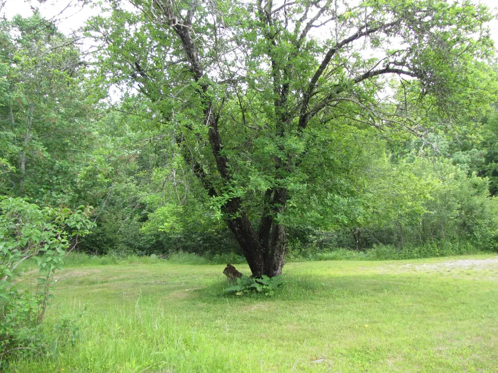 489 Hadley Lake Road East Machias ME 04630