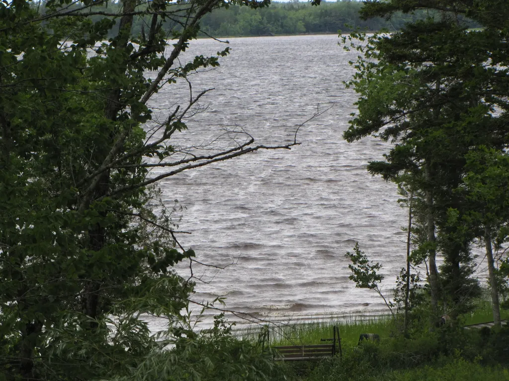 489 Hadley Lake Road East Machias ME 04630