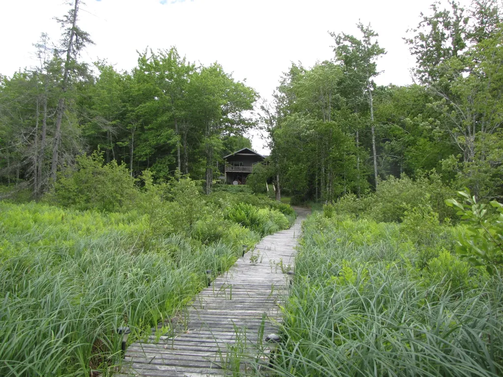489 Hadley Lake Road East Machias ME 04630