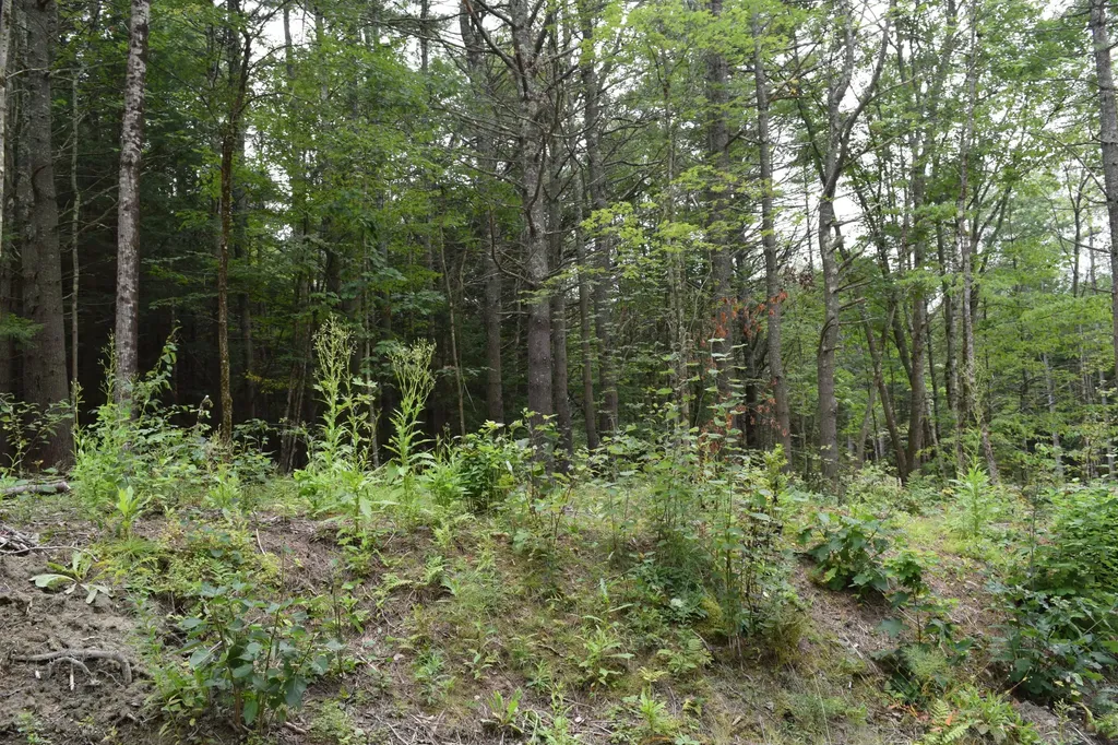 55 Patten Lane Topsham ME 04086