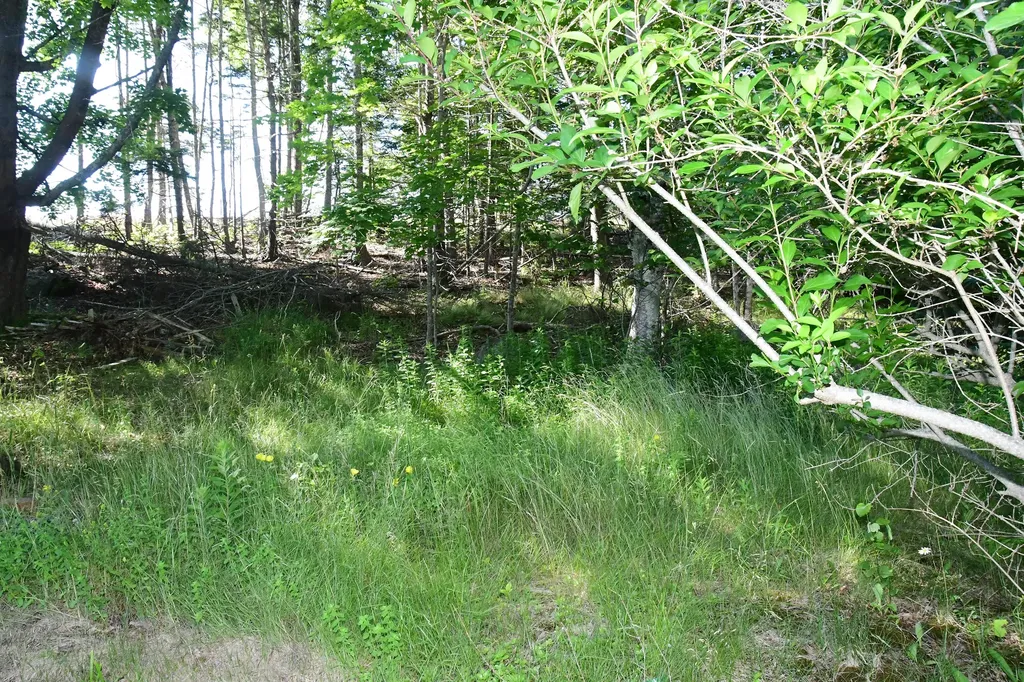 278 S Deer Isle Road Deer Isle ME 04627