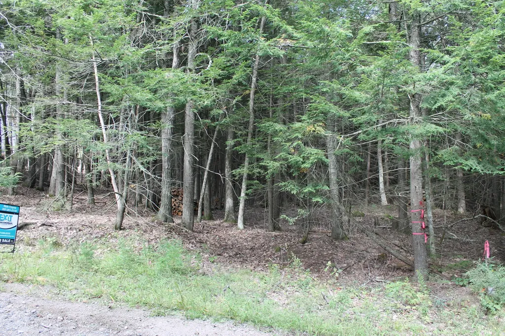 343 Cheney Woods Road Wells ME 04090