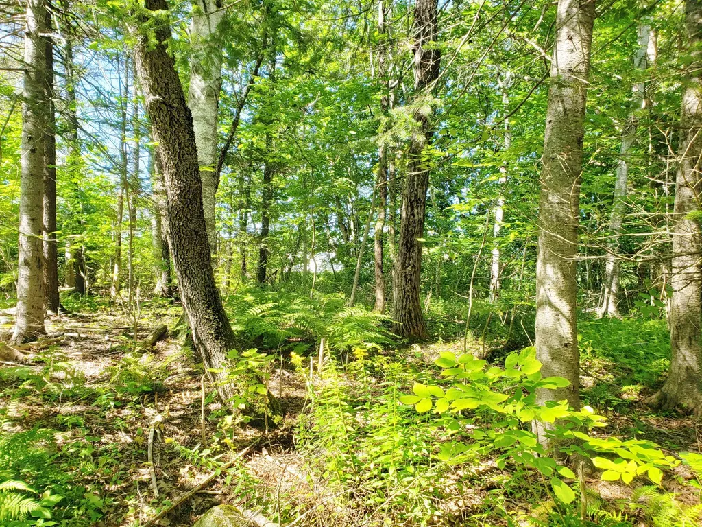 0 Bobolink Lane Thomaston ME 04861