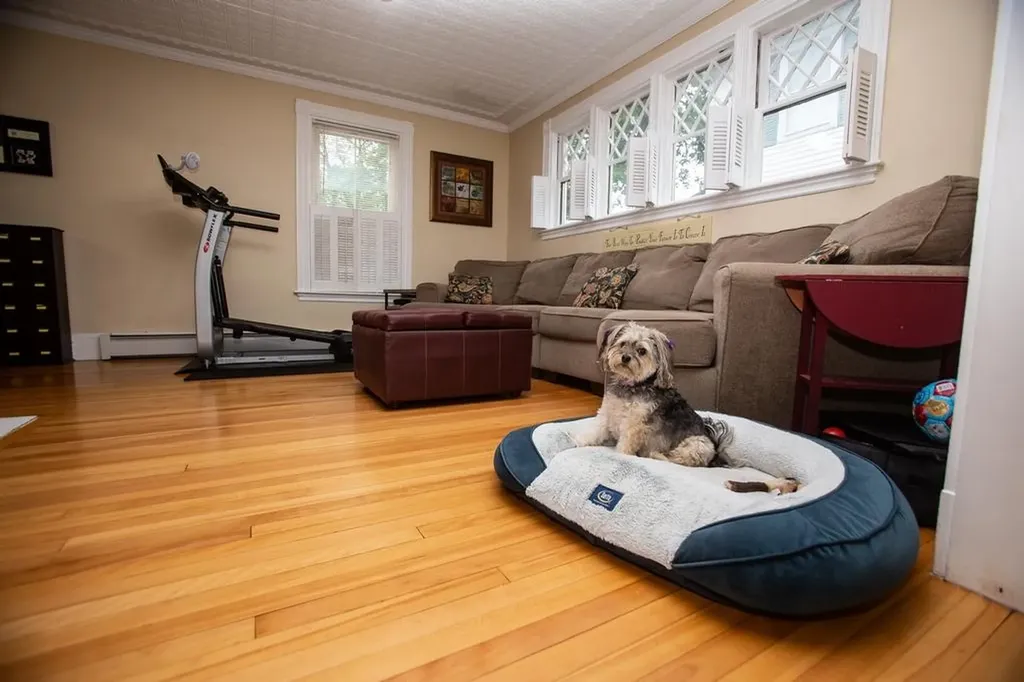 111 Maple Street Bangor ME 04401