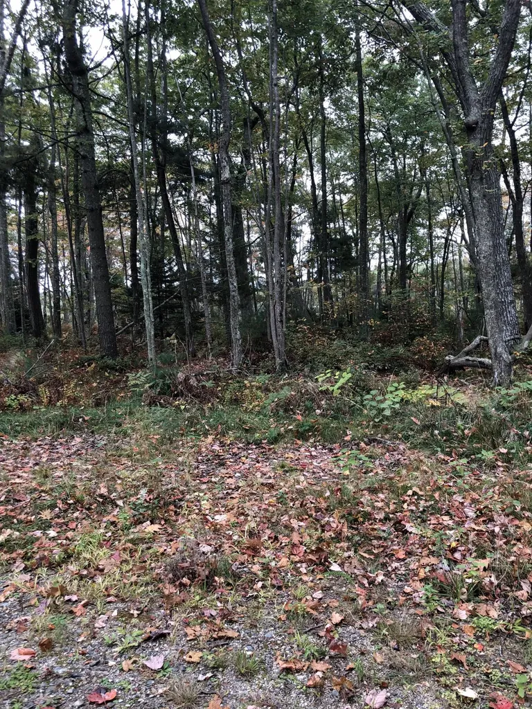 31 Old Mill Road Cape Elizabeth ME 04107