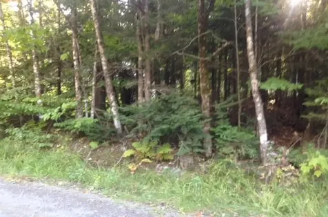 332 Sebec Shore Road Guilford ME 04443