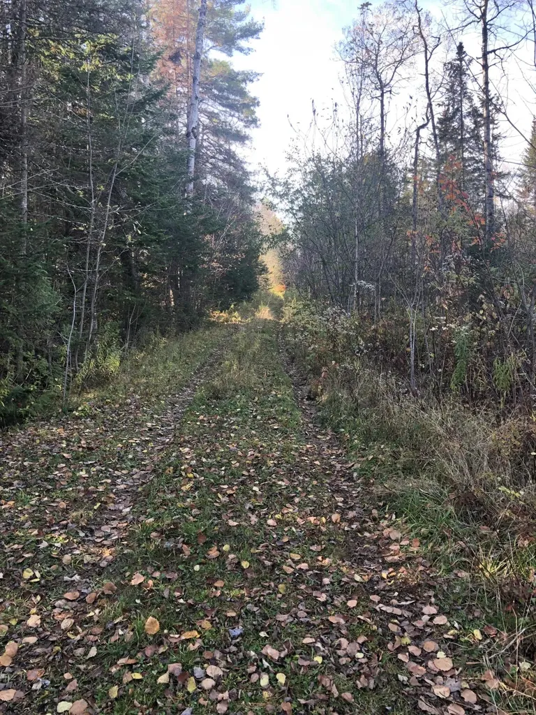 178 Patterson Road Hampden ME 04444