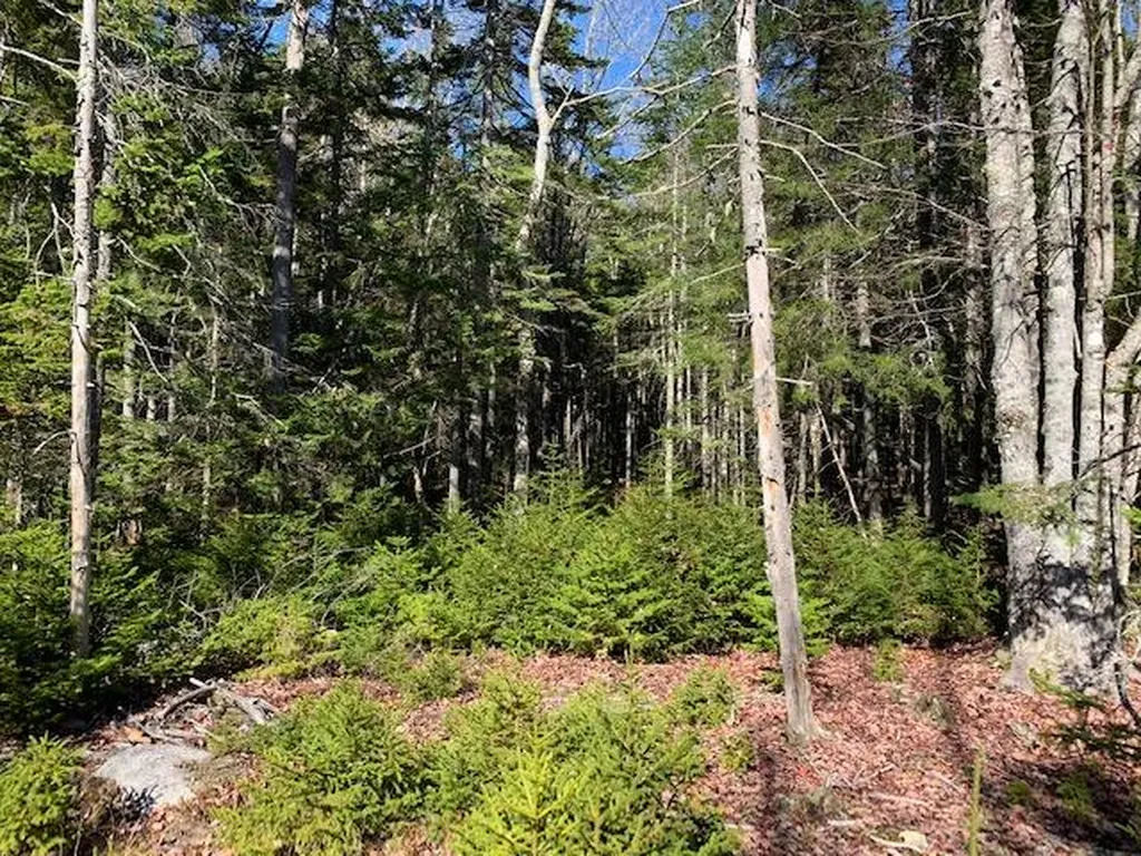 0 Patten Point Road Saint George ME 04858