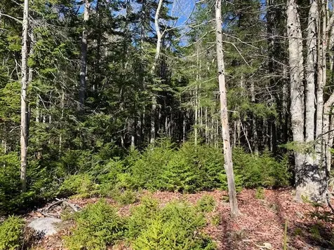 0 Patten Point Road Saint George ME 04858