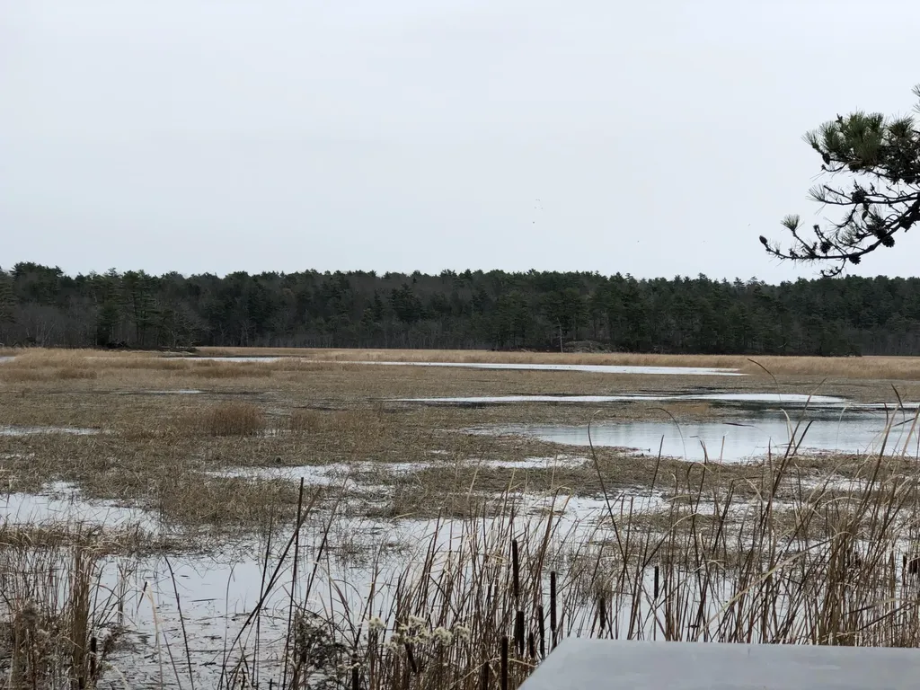 240 Fiddlers Reach Road Phippsburg ME 04562