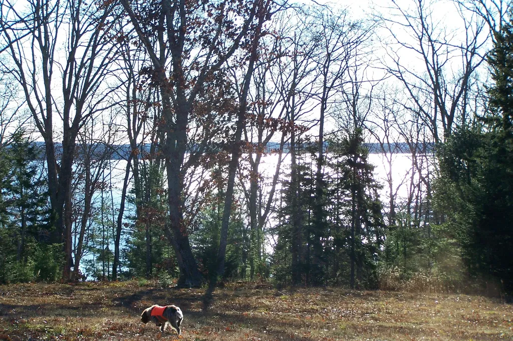 Lot 5 Parsloe Division Iv Northport ME 04849