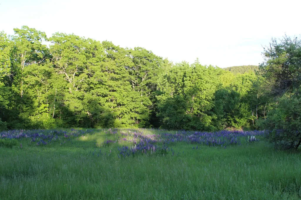 10 Stagecoach Road Liberty ME 04949