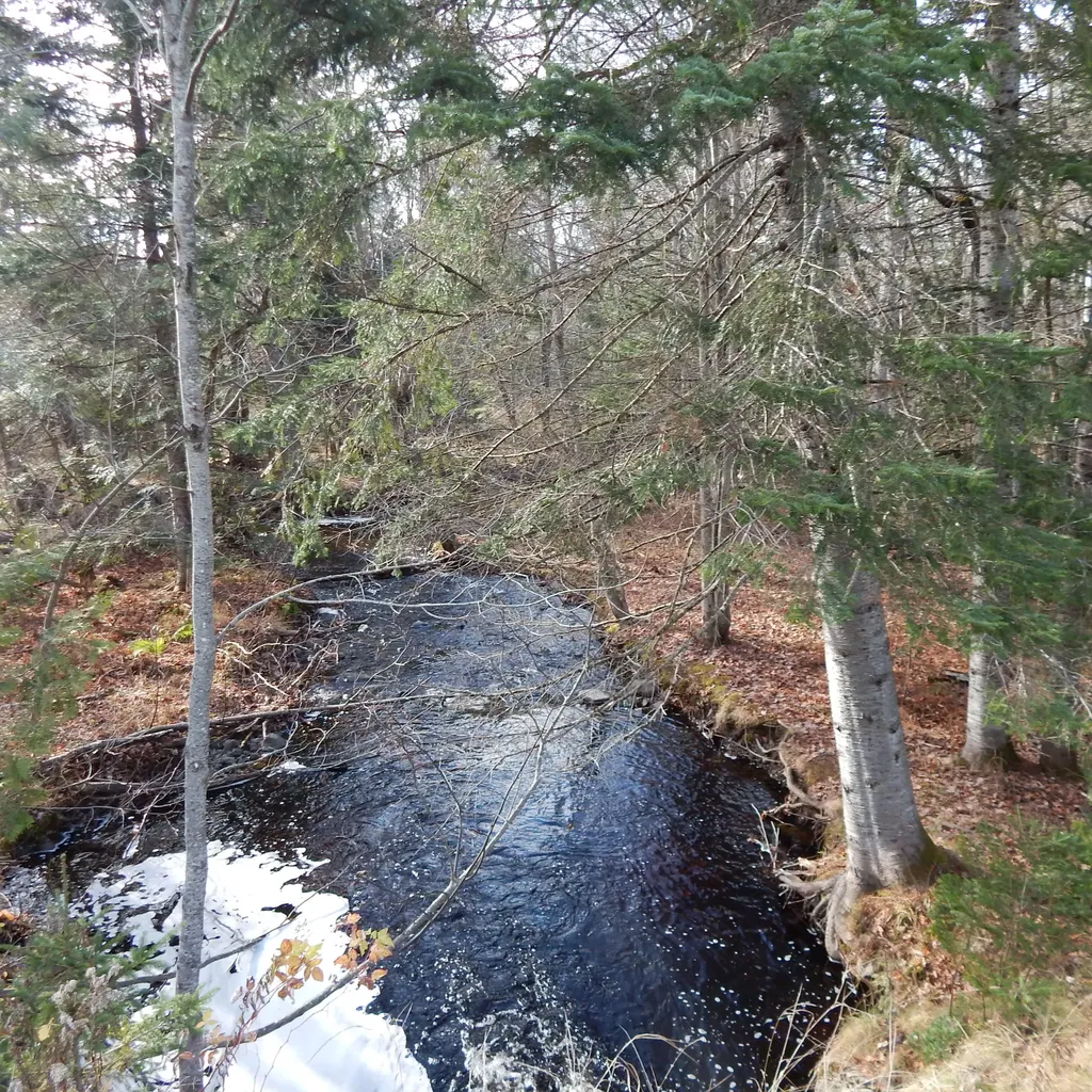 69 Herring Tract Road Willimantic ME 04443