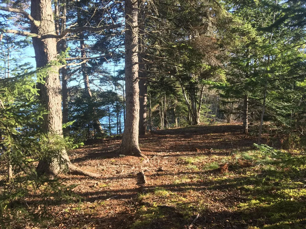 26 Harbor Road Steuben ME 04680