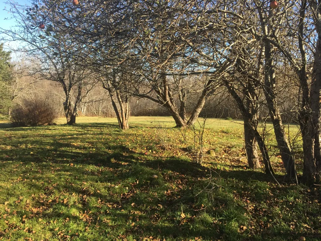 26 Harbor Road Steuben ME 04680