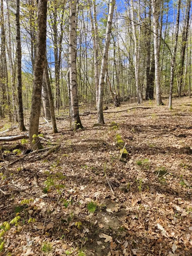 Lot 23 Edes Brook Road Temple ME 04984