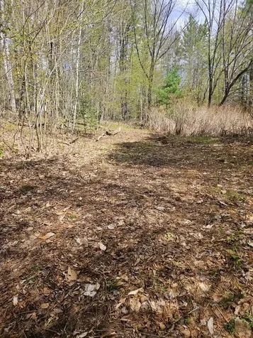 Lot 23 Edes Brook Road Temple ME 04984